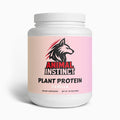 Plant Protein (Vanilla)
